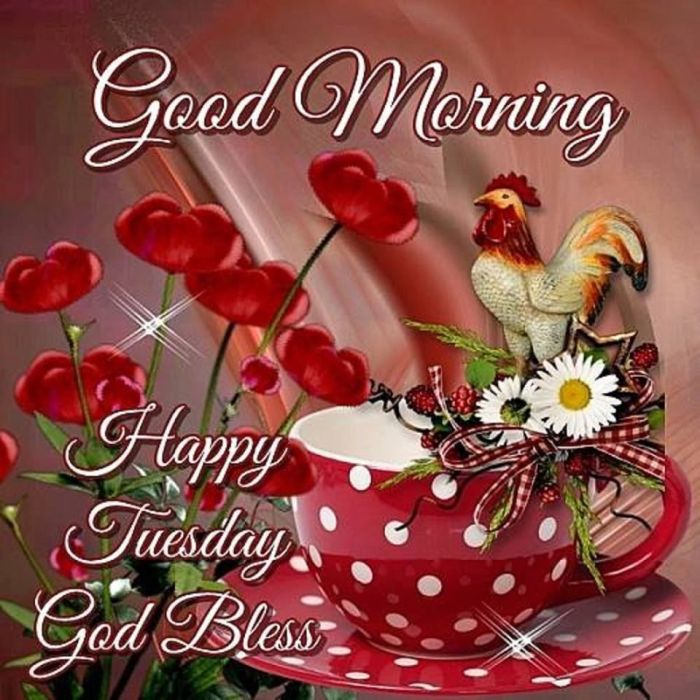 tuesday good morning images and messages terbaru
