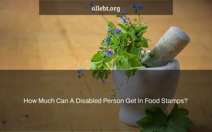 can you get food stamps while on short term disability