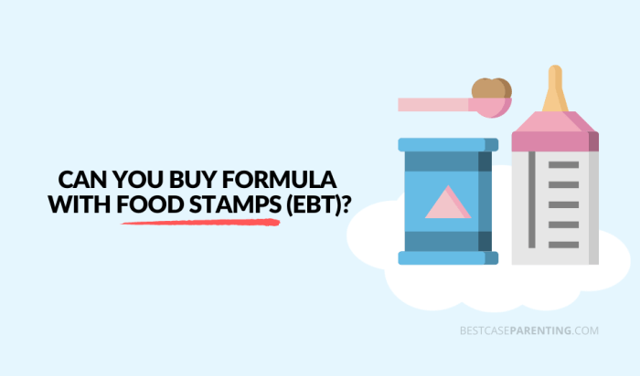 can you buy infant formula with food stamps