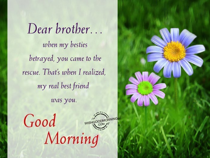 good morning message to my lovely brother far away terbaru