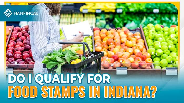 indiana food stamp