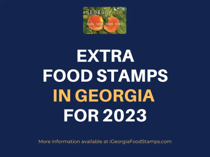 is ga getting extra food stamps