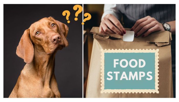 can i buy dog food with food stamps terbaru