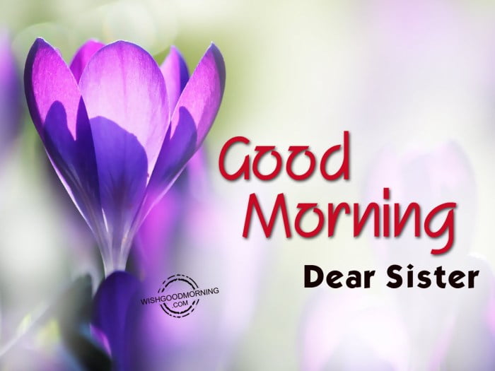 good morning message to sister terbaru