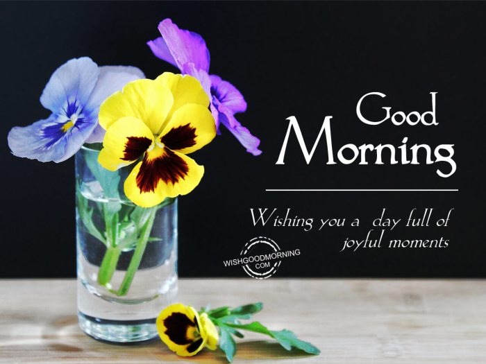 morning good wishing joy wishes wishgoodmorning