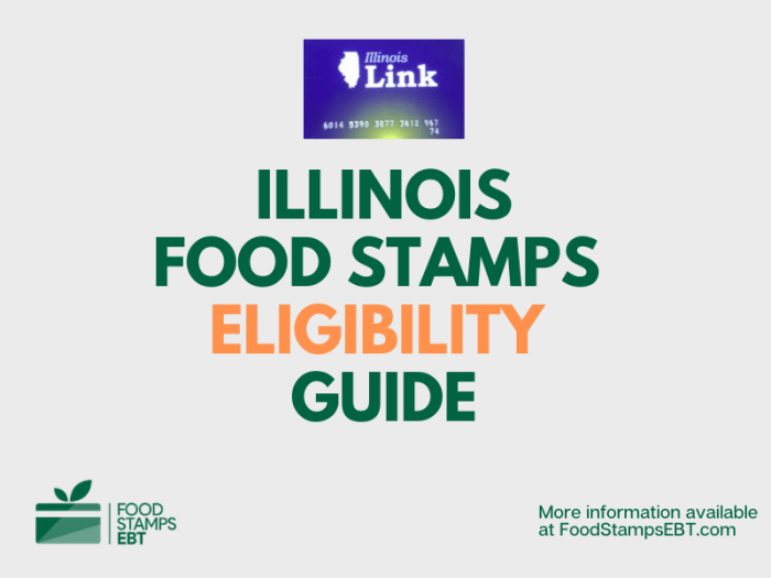 do i qualify for food stamps in illinois terbaru