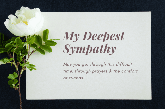short condolence message professional to a friend