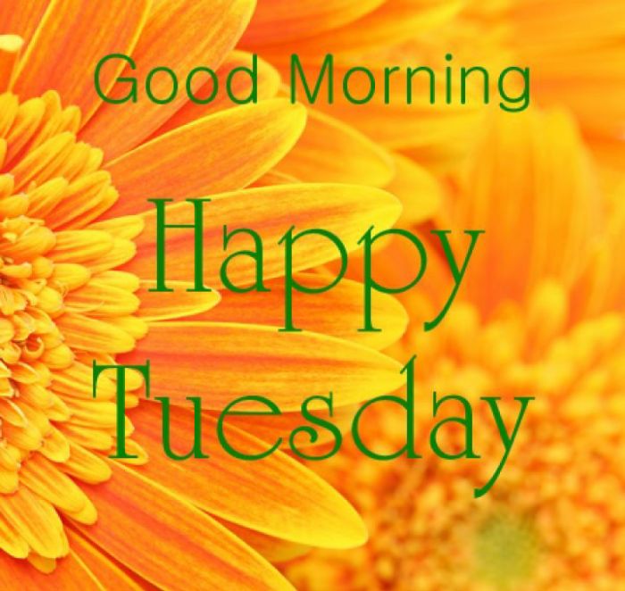 tuesday good morning images and messages terbaru