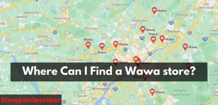 can you use food stamps at wawa