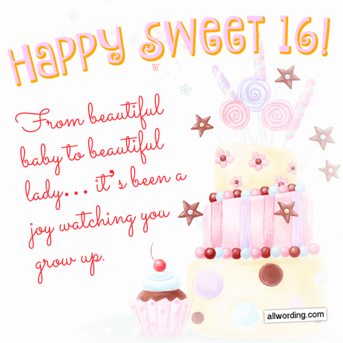 16th birthday wishes messages happy greetings wordings granddaughter cards sweet snydle 16 quotes th card girl sixteen boy daughter christian
