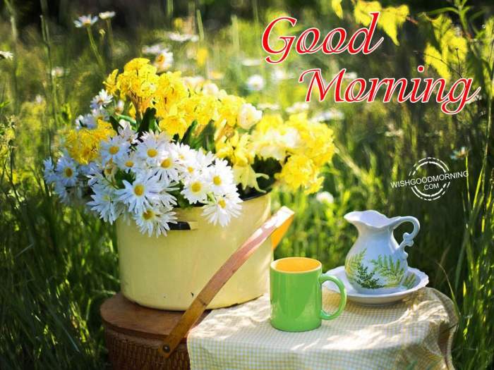 morning good wonderful wishing wishes desicomments goodmorning very wishgoodmorning entries
