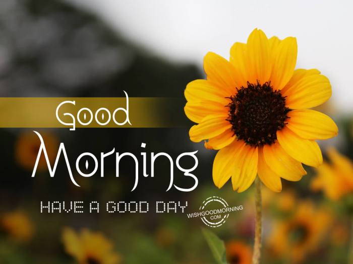 good day morning wishes terbaru