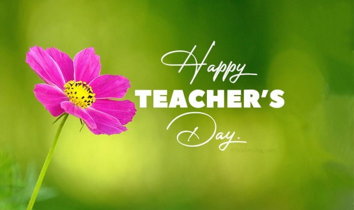 teachers wishes happy messages quotes