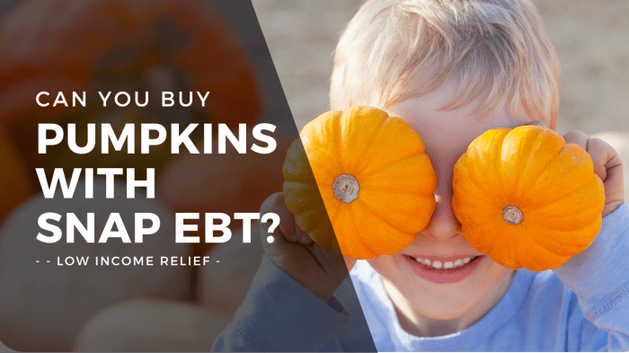 can you buy pumpkins with food stamps