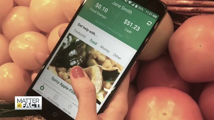 can you put food stamps on apple pay terbaru