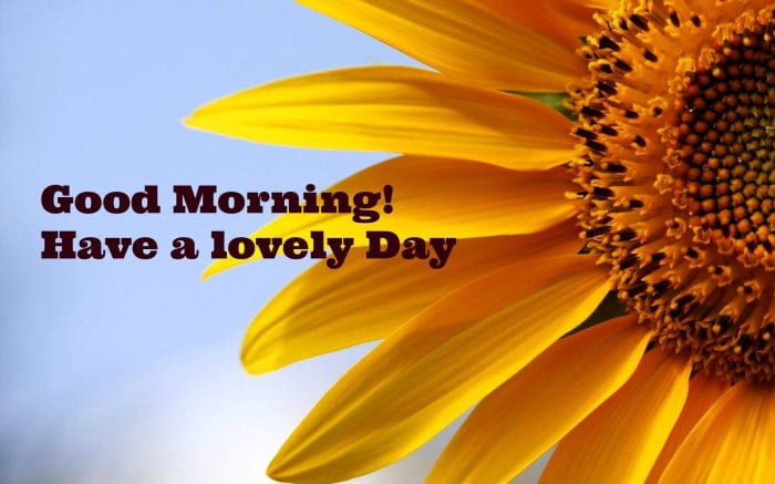 morning good greetings quotes inspiration cards life greatest flowers daily greeting quote colleague happy inspirational thursday today start wishgoodmorning buddy
