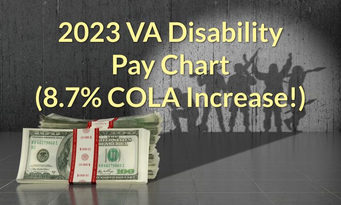 do va disability benefits count as income for food stamps