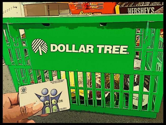 does dollar tree take ebt food stamps