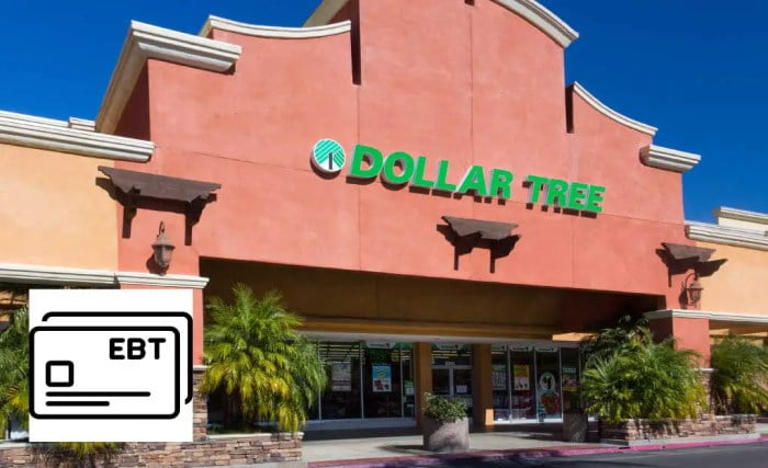 does dollar tree take ebt food stamps terbaru