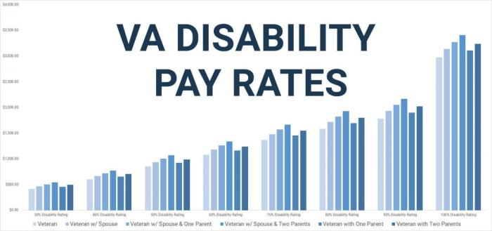do va disability benefits count as income for food stamps