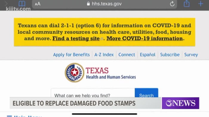 how to apply for disaster food stamps online terbaru