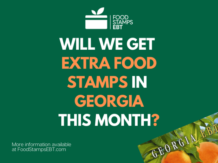 is georgia giving out extra food stamps terbaru